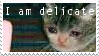 delicate