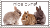 Nice Bunnies
